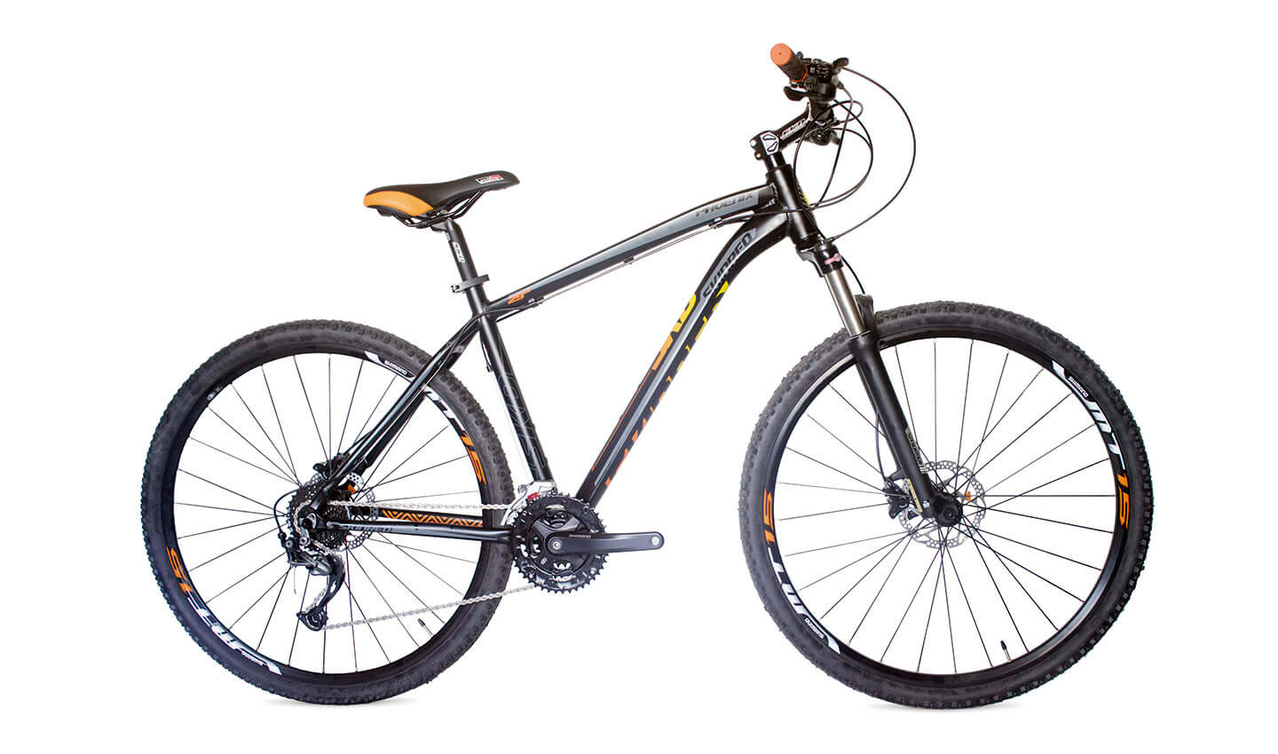bike 1