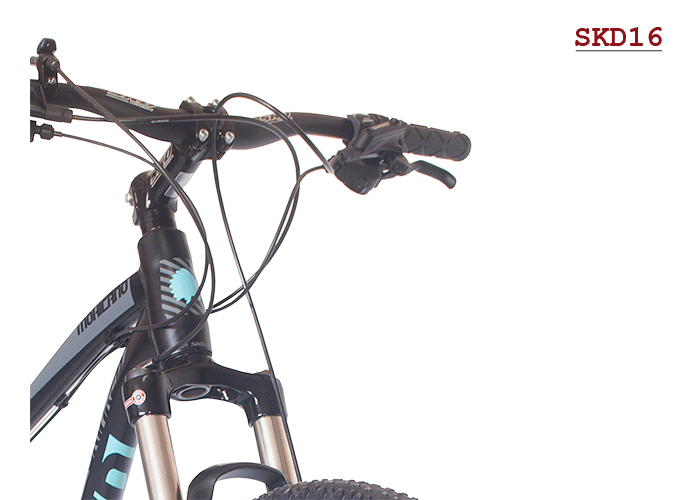 linea MTB